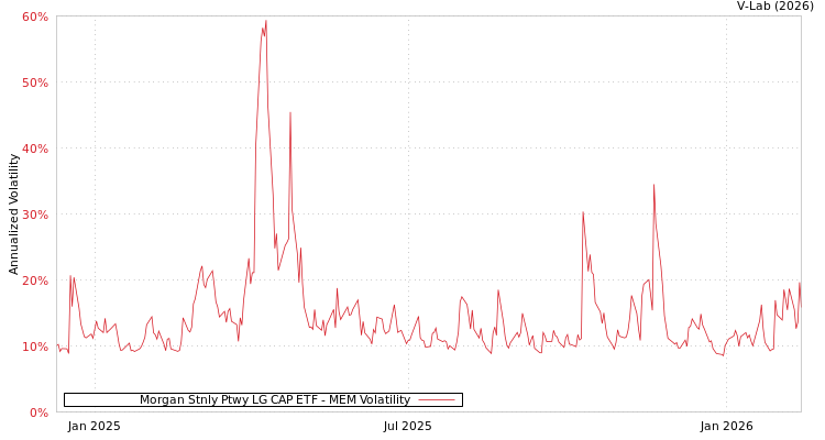 graph of Morgan Stnly Ptwy LG CAP ETF MEM