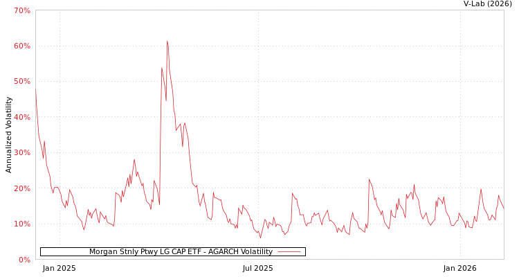 graph of Morgan Stnly Ptwy LG CAP ETF AGARCH