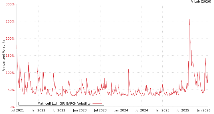 graph of Matricelf Ltd GJR-GARCH