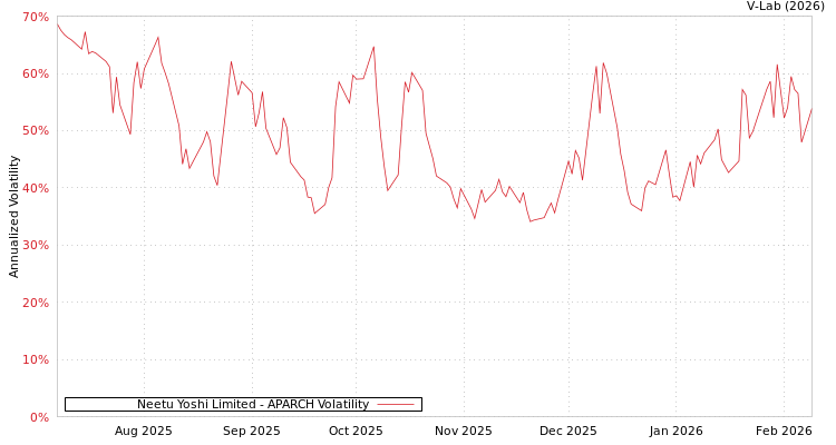 graph of Neetu Yoshi Limited APARCH