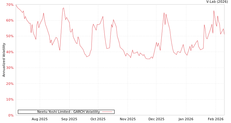 graph of Neetu Yoshi Limited GARCH