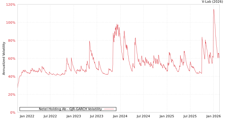 graph of Netel Holding Ab GJR-GARCH