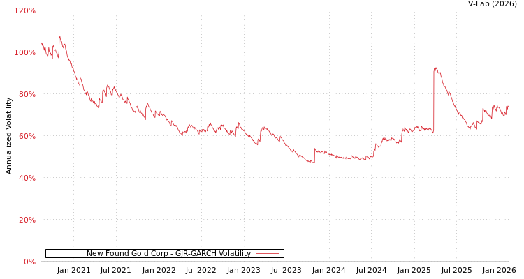 graph of New Found Gold Corp GJR-GARCH