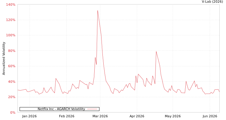 graph of Netflix Inc AGARCH