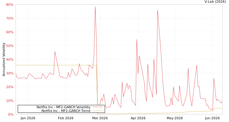 graph of Netflix Inc MF2-GARCH
