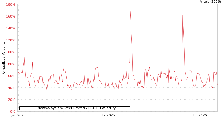 graph of Newmalayalam Steel Limited EGARCH