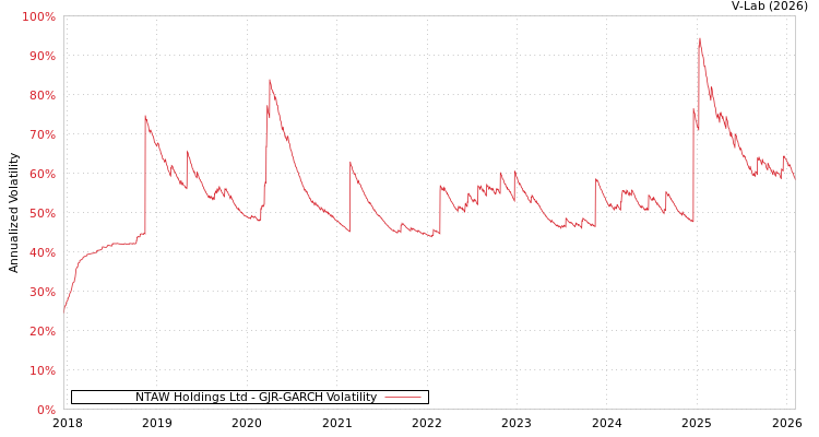 graph of NTAW Holdings Ltd GJR-GARCH