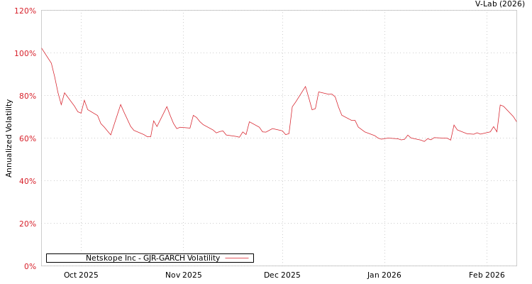 graph of Netskope Inc GJR-GARCH
