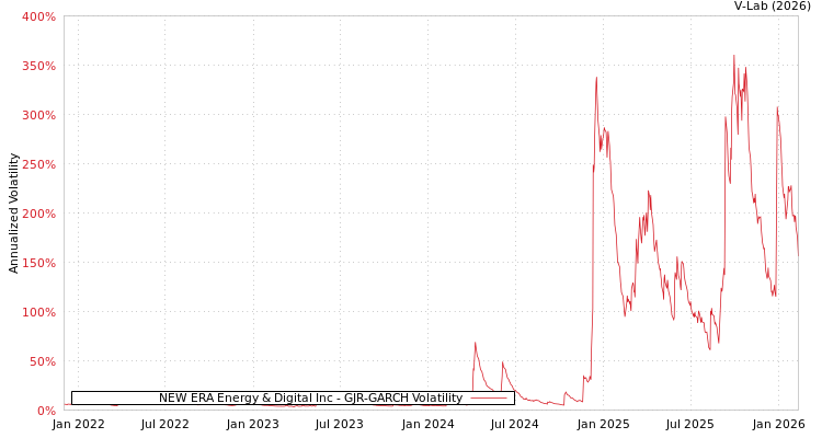 graph of NEW ERA Energy & Digital Inc GJR-GARCH