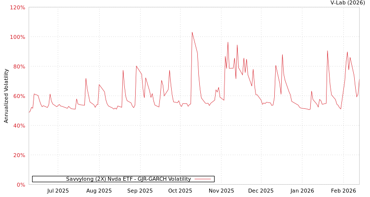 graph of Savvylong (2X) Nvda ETF GJR-GARCH