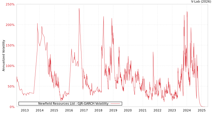 graph of Newfield Resources Ltd GJR-GARCH