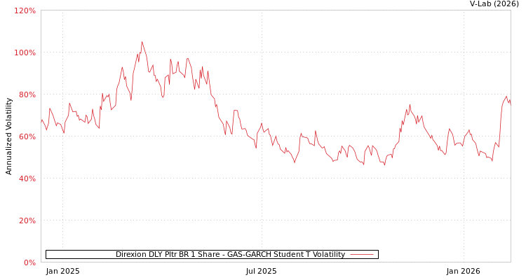 graph of Direxion DLY Pltr BR 1 Share GAS-GARCH-T