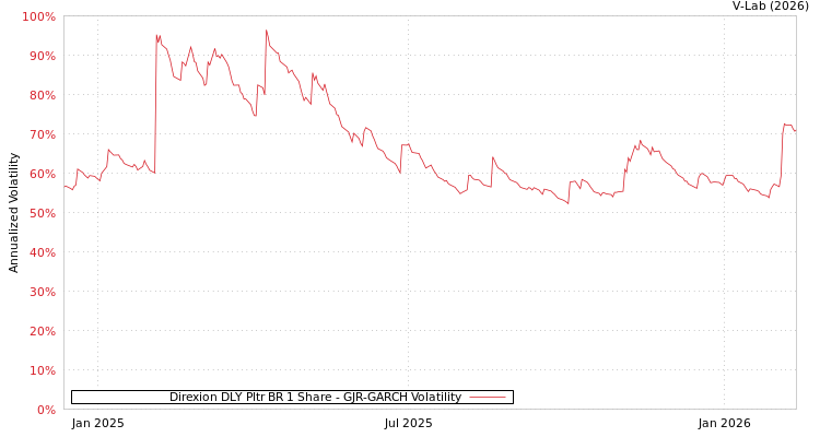 graph of Direxion DLY Pltr BR 1 Share GJR-GARCH