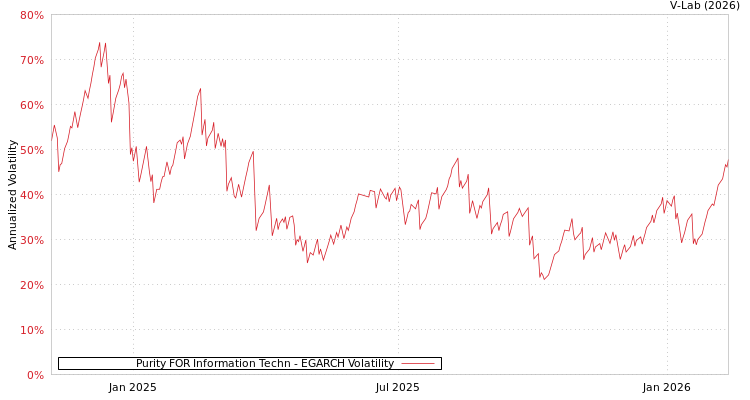 graph of Purity FOR Information Techn EGARCH