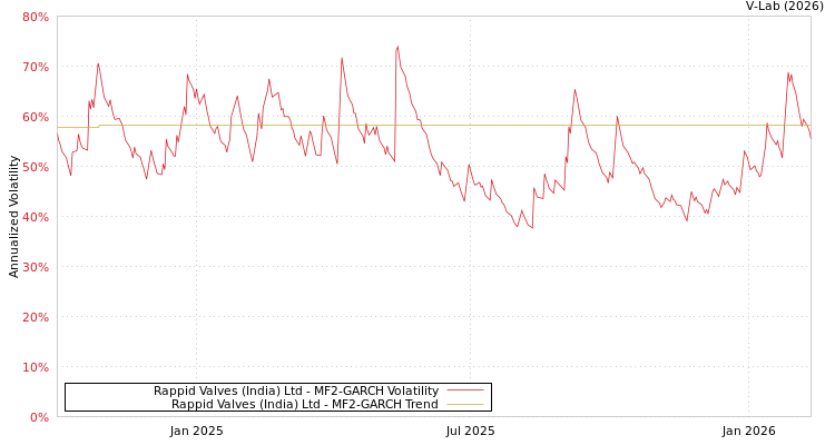 graph of Rappid Valves (India) Ltd MF2-GARCH