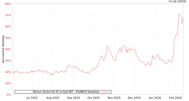 graph of Return Stckd US ST & GLD BIT EGARCH