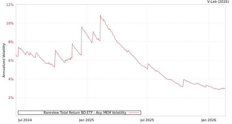 graph of Rareview Total Return BD ETF AMEM