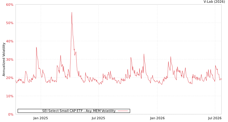 graph of SEI Select Small CAP ETF AMEM