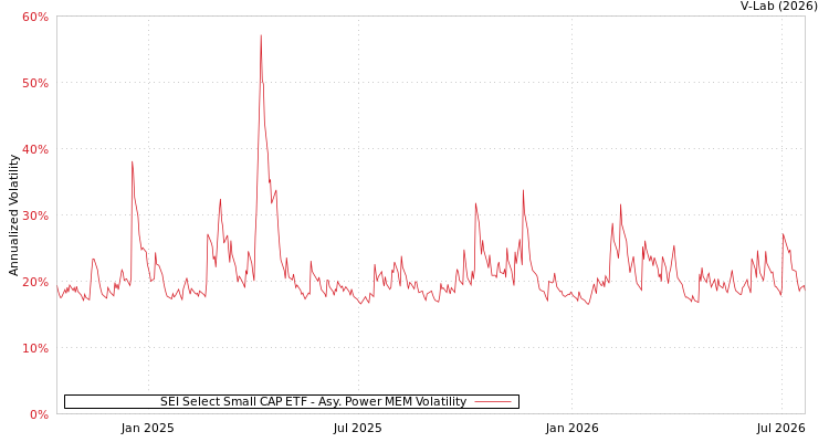 graph of SEI Select Small CAP ETF APMEM