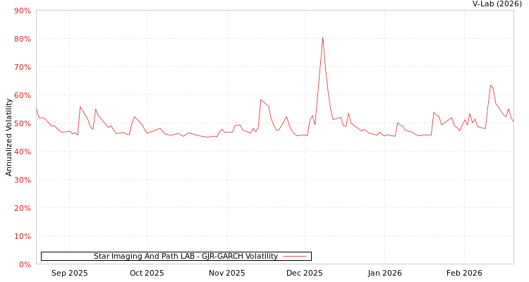 graph of Star Imaging And Path LAB GJR-GARCH