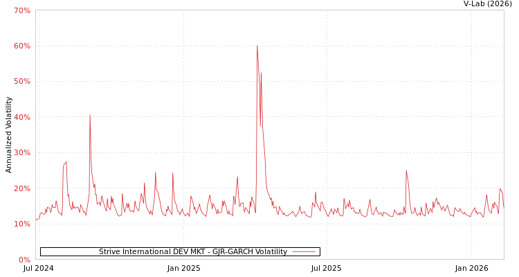 graph of Strive International DEV MKT GJR-GARCH