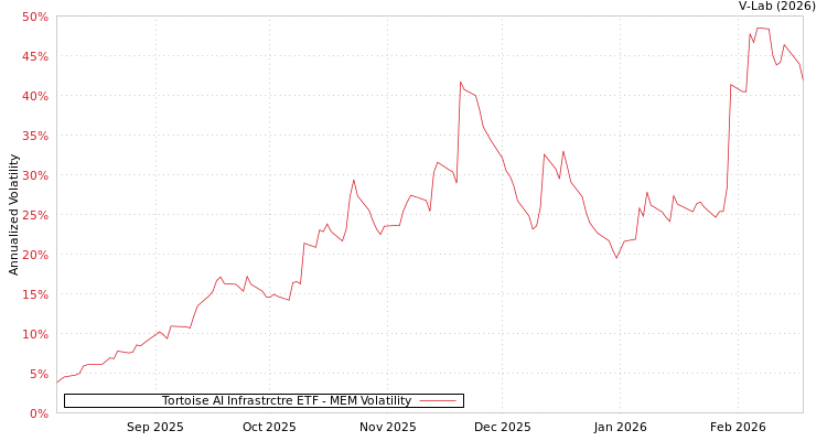 graph of Tortoise AI Infrastrctre ETF MEM