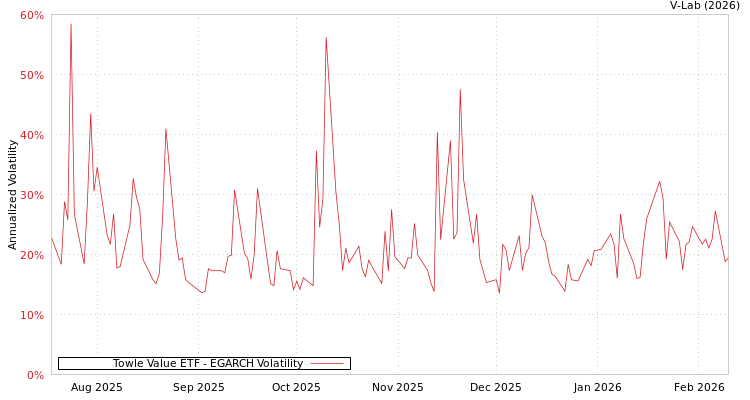 graph of Towle Value ETF EGARCH