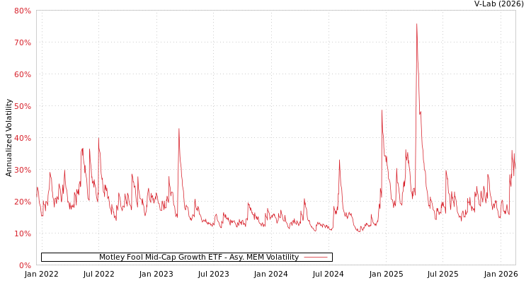graph of Motley Fool Mid-Cap Growth ETF AMEM