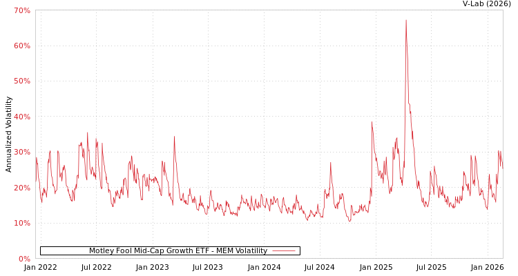 graph of Motley Fool Mid-Cap Growth ETF MEM