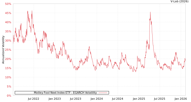 graph of Motley Fool Next Index ETF EGARCH
