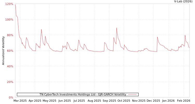 graph of TN CyberTech Investments Holdings Ltd GJR-GARCH