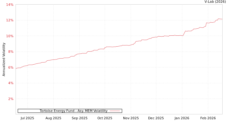 graph of Tortoise Energy Fund AMEM