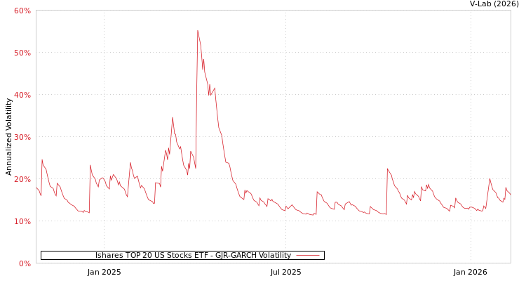 graph of Ishares TOP 20 US Stocks ETF GJR-GARCH