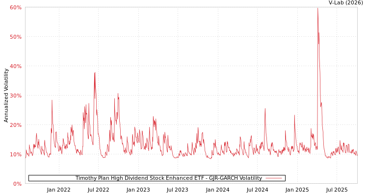 graph of Timothy Plan High Dividend Stock Enhanced ETF GJR-GARCH