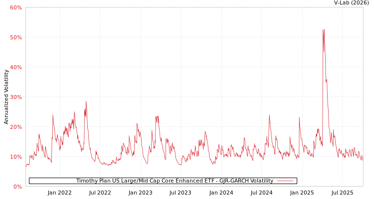 graph of Timothy Plan US Large/Mid Cap Core Enhanced ETF GJR-GARCH