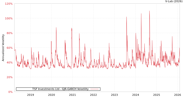 graph of TSF Investments Ltd GJR-GARCH