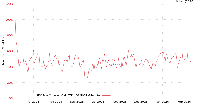 graph of REX Tsla Covered Call ETF EGARCH