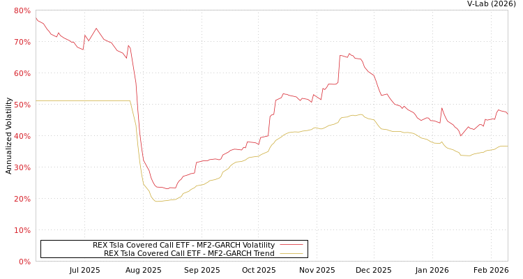 graph of REX Tsla Covered Call ETF MF2-GARCH