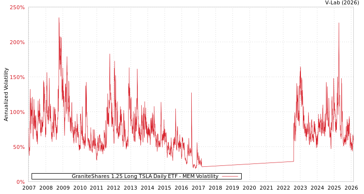 graph of GraniteShares 1.25 Long TSLA Daily ETF MEM