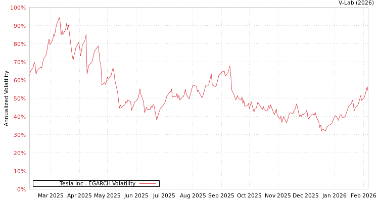 graph of Tesla Inc EGARCH