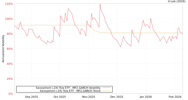 graph of Savvyshort (-2X) Tsla ETF MF2-GARCH