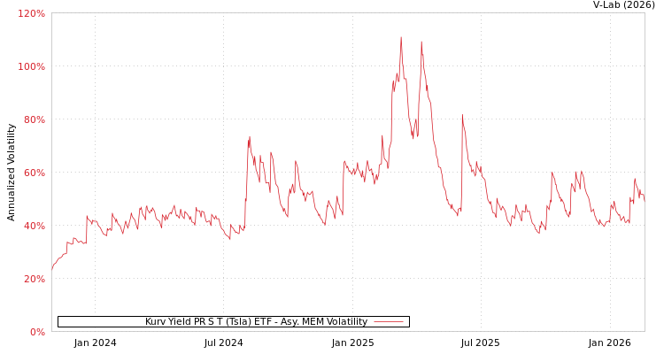 graph of Kurv Yield PR S T (Tsla) ETF AMEM