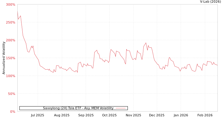 graph of Savvylong (2X) Tsla ETF AMEM