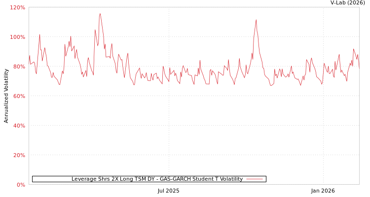 graph of Leverage Shrs 2X Long TSM DY GAS-GARCH-T