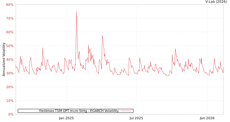 graph of Yieldmax TSM OPT Incm Strtg EGARCH