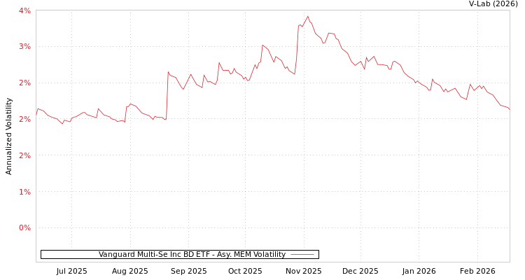graph of Vanguard Multi-Se Inc BD ETF AMEM