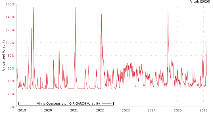 graph of Vinny Overseas Ltd GJR-GARCH