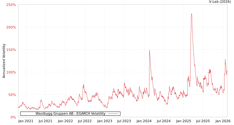 graph of Wastbygg Gruppen AB EGARCH