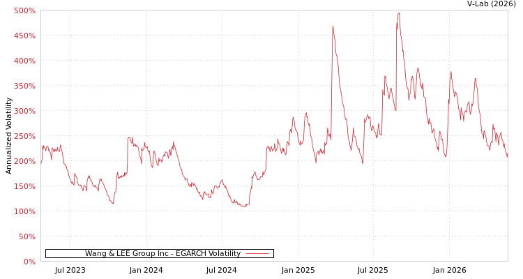 graph of Wang & LEE Group Inc EGARCH